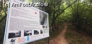 [P30] Ciucarul Mic - același panou informativ de la intrarea pe traseu. Îl găsiți acolo unde se termină urcușul. » foto by Aurici
 - 
<span class="allrVoted glyphicon glyphicon-heart hidden" id="av1172493"></span>
<a class="m-l-10 hidden" id="sv1172493" onclick="voting_Foto_DelVot(,1172493,24578)" role="button">șterge vot <span class="glyphicon glyphicon-remove"></span></a>
<a id="v91172493" class=" c-red"  onclick="voting_Foto_SetVot(1172493)" role="button"><span class="glyphicon glyphicon-heart-empty"></span> <b>LIKE</b> = Votează poza</a> <img class="hidden"  id="f1172493W9" src="/imagini/loader.gif" border="0" /><span class="AjErrMes hidden" id="e1172493ErM"></span>