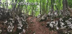 [P31] Printre lapiezuri spre vârful Ciucarul Mic. » foto by Aurici
 - 
<span class="allrVoted glyphicon glyphicon-heart hidden" id="av1172494"></span>
<a class="m-l-10 hidden" id="sv1172494" onclick="voting_Foto_DelVot(,1172494,24578)" role="button">șterge vot <span class="glyphicon glyphicon-remove"></span></a>
<a id="v91172494" class=" c-red"  onclick="voting_Foto_SetVot(1172494)" role="button"><span class="glyphicon glyphicon-heart-empty"></span> <b>LIKE</b> = Votează poza</a> <img class="hidden"  id="f1172494W9" src="/imagini/loader.gif" border="0" /><span class="AjErrMes hidden" id="e1172494ErM"></span>