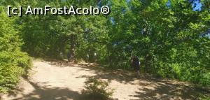 [P04] Ciucarul Mare, cam așa este panta de început. » foto by Aurici
 - 
<span class="allrVoted glyphicon glyphicon-heart hidden" id="av1172467"></span>
<a class="m-l-10 hidden" id="sv1172467" onclick="voting_Foto_DelVot(,1172467,24578)" role="button">șterge vot <span class="glyphicon glyphicon-remove"></span></a>
<a id="v91172467" class=" c-red"  onclick="voting_Foto_SetVot(1172467)" role="button"><span class="glyphicon glyphicon-heart-empty"></span> <b>LIKE</b> = Votează poza</a> <img class="hidden"  id="f1172467W9" src="/imagini/loader.gif" border="0" /><span class="AjErrMes hidden" id="e1172467ErM"></span>