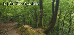 [P44] Ciucarul Mic - înapoi spre mașină. » foto by Aurici
 - 
<span class="allrVoted glyphicon glyphicon-heart hidden" id="av1172507"></span>
<a class="m-l-10 hidden" id="sv1172507" onclick="voting_Foto_DelVot(,1172507,24578)" role="button">șterge vot <span class="glyphicon glyphicon-remove"></span></a>
<a id="v91172507" class=" c-red"  onclick="voting_Foto_SetVot(1172507)" role="button"><span class="glyphicon glyphicon-heart-empty"></span> <b>LIKE</b> = Votează poza</a> <img class="hidden"  id="f1172507W9" src="/imagini/loader.gif" border="0" /><span class="AjErrMes hidden" id="e1172507ErM"></span>