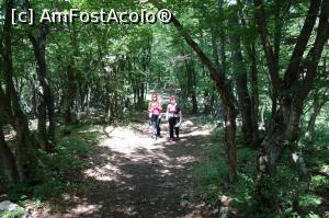 [P04]  -- <small>// FĂRĂ DESCRIERE</small> » foto by wolf2001*
 - 
<span class="allrVoted glyphicon glyphicon-heart hidden" id="av767341"></span>
<a class="m-l-10 hidden" id="sv767341" onclick="voting_Foto_DelVot(,767341,24578)" role="button">șterge vot <span class="glyphicon glyphicon-remove"></span></a>
<a id="v9767341" class=" c-red"  onclick="voting_Foto_SetVot(767341)" role="button"><span class="glyphicon glyphicon-heart-empty"></span> <b>LIKE</b> = Votează poza</a> <img class="hidden"  id="f767341W9" src="/imagini/loader.gif" border="0" /><span class="AjErrMes hidden" id="e767341ErM"></span>