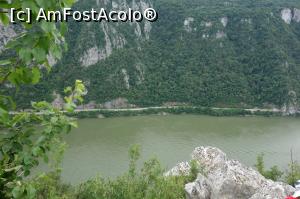 [P14]  -- <small>// FĂRĂ DESCRIERE</small> » foto by wolf2001*
 - 
<span class="allrVoted glyphicon glyphicon-heart hidden" id="av767864"></span>
<a class="m-l-10 hidden" id="sv767864" onclick="voting_Foto_DelVot(,767864,24578)" role="button">șterge vot <span class="glyphicon glyphicon-remove"></span></a>
<a id="v9767864" class=" c-red"  onclick="voting_Foto_SetVot(767864)" role="button"><span class="glyphicon glyphicon-heart-empty"></span> <b>LIKE</b> = Votează poza</a> <img class="hidden"  id="f767864W9" src="/imagini/loader.gif" border="0" /><span class="AjErrMes hidden" id="e767864ErM"></span>