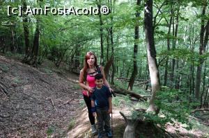 [P02]  -- <small>// FĂRĂ DESCRIERE</small> » foto by wolf2001*
 - 
<span class="allrVoted glyphicon glyphicon-heart hidden" id="av767847"></span>
<a class="m-l-10 hidden" id="sv767847" onclick="voting_Foto_DelVot(,767847,24578)" role="button">șterge vot <span class="glyphicon glyphicon-remove"></span></a>
<a id="v9767847" class=" c-red"  onclick="voting_Foto_SetVot(767847)" role="button"><span class="glyphicon glyphicon-heart-empty"></span> <b>LIKE</b> = Votează poza</a> <img class="hidden"  id="f767847W9" src="/imagini/loader.gif" border="0" /><span class="AjErrMes hidden" id="e767847ErM"></span>