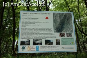 [P03]  -- <small>// FĂRĂ DESCRIERE</small> » foto by wolf2001*
 - 
<span class="allrVoted glyphicon glyphicon-heart hidden" id="av767849"></span>
<a class="m-l-10 hidden" id="sv767849" onclick="voting_Foto_DelVot(,767849,24578)" role="button">șterge vot <span class="glyphicon glyphicon-remove"></span></a>
<a id="v9767849" class=" c-red"  onclick="voting_Foto_SetVot(767849)" role="button"><span class="glyphicon glyphicon-heart-empty"></span> <b>LIKE</b> = Votează poza</a> <img class="hidden"  id="f767849W9" src="/imagini/loader.gif" border="0" /><span class="AjErrMes hidden" id="e767849ErM"></span>