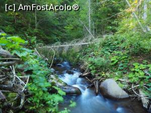 [P14] Cascada Cofu (Pișoiul), Bistra Mureșului<p> drumul spre cascada prin Valea Cofu » foto by Dana2008
 - 
<span class="allrVoted glyphicon glyphicon-heart hidden" id="av1040192"></span>
<a class="m-l-10 hidden" id="sv1040192" onclick="voting_Foto_DelVot(,1040192,24684)" role="button">șterge vot <span class="glyphicon glyphicon-remove"></span></a>
<a id="v91040192" class=" c-red"  onclick="voting_Foto_SetVot(1040192)" role="button"><span class="glyphicon glyphicon-heart-empty"></span> <b>LIKE</b> = Votează poza</a> <img class="hidden"  id="f1040192W9" src="/imagini/loader.gif" border="0" /><span class="AjErrMes hidden" id="e1040192ErM"></span>