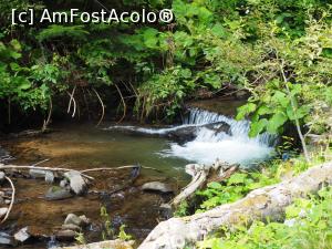 [P15] Cascada Cofu (Pișoiul), Bistra Mureșului<p> drumul spre cascada prin Valea Cofu » foto by Dana2008
 - 
<span class="allrVoted glyphicon glyphicon-heart hidden" id="av1040193"></span>
<a class="m-l-10 hidden" id="sv1040193" onclick="voting_Foto_DelVot(,1040193,24684)" role="button">șterge vot <span class="glyphicon glyphicon-remove"></span></a>
<a id="v91040193" class=" c-red"  onclick="voting_Foto_SetVot(1040193)" role="button"><span class="glyphicon glyphicon-heart-empty"></span> <b>LIKE</b> = Votează poza</a> <img class="hidden"  id="f1040193W9" src="/imagini/loader.gif" border="0" /><span class="AjErrMes hidden" id="e1040193ErM"></span>