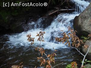 [P18] Cascada Cofu (Pișoiul), Bistra Mureșului<p> drumul spre cascada prin Valea Cofu » foto by Dana2008
 - 
<span class="allrVoted glyphicon glyphicon-heart hidden" id="av1040199"></span>
<a class="m-l-10 hidden" id="sv1040199" onclick="voting_Foto_DelVot(,1040199,24684)" role="button">șterge vot <span class="glyphicon glyphicon-remove"></span></a>
<a id="v91040199" class=" c-red"  onclick="voting_Foto_SetVot(1040199)" role="button"><span class="glyphicon glyphicon-heart-empty"></span> <b>LIKE</b> = Votează poza</a> <img class="hidden"  id="f1040199W9" src="/imagini/loader.gif" border="0" /><span class="AjErrMes hidden" id="e1040199ErM"></span>