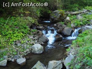 [P22] Cascada Cofu (Pișoiul), Bistra Mureșului<p> drumul spre cascada prin Valea Cofu » foto by Dana2008
 - 
<span class="allrVoted glyphicon glyphicon-heart hidden" id="av1040209"></span>
<a class="m-l-10 hidden" id="sv1040209" onclick="voting_Foto_DelVot(,1040209,24684)" role="button">șterge vot <span class="glyphicon glyphicon-remove"></span></a>
<a id="v91040209" class=" c-red"  onclick="voting_Foto_SetVot(1040209)" role="button"><span class="glyphicon glyphicon-heart-empty"></span> <b>LIKE</b> = Votează poza</a> <img class="hidden"  id="f1040209W9" src="/imagini/loader.gif" border="0" /><span class="AjErrMes hidden" id="e1040209ErM"></span>