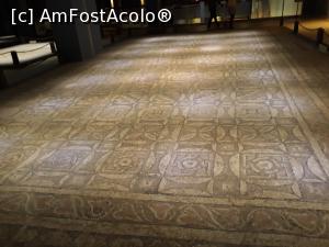 [P32] parca nu ai calca pe el » foto by adrianbogdan
 - 
<span class="allrVoted glyphicon glyphicon-heart hidden" id="av1042186"></span>
<a class="m-l-10 hidden" id="sv1042186" onclick="voting_Foto_DelVot(,1042186,24713)" role="button">șterge vot <span class="glyphicon glyphicon-remove"></span></a>
<a id="v91042186" class=" c-red"  onclick="voting_Foto_SetVot(1042186)" role="button"><span class="glyphicon glyphicon-heart-empty"></span> <b>LIKE</b> = Votează poza</a> <img class="hidden"  id="f1042186W9" src="/imagini/loader.gif" border="0" /><span class="AjErrMes hidden" id="e1042186ErM"></span>