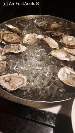 [P02]  -- <small>// FĂRĂ DESCRIERE</small> » foto by geop
 - 
<span class="allrVoted glyphicon glyphicon-heart hidden" id="av1050352"></span>
<a class="m-l-10 hidden" id="sv1050352" onclick="voting_Foto_DelVot(,1050352,24817)" role="button">șterge vot <span class="glyphicon glyphicon-remove"></span></a>
<a id="v91050352" class=" c-red"  onclick="voting_Foto_SetVot(1050352)" role="button"><span class="glyphicon glyphicon-heart-empty"></span> <b>LIKE</b> = Votează poza</a> <img class="hidden"  id="f1050352W9" src="/imagini/loader.gif" border="0" /><span class="AjErrMes hidden" id="e1050352ErM"></span>