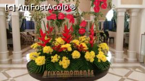 [P07]  -- <small>// FĂRĂ DESCRIERE</small> » foto by arub
 - 
<span class="allrVoted glyphicon glyphicon-heart hidden" id="av1051390"></span>
<a class="m-l-10 hidden" id="sv1051390" onclick="voting_Foto_DelVot(,1051390,24831)" role="button">șterge vot <span class="glyphicon glyphicon-remove"></span></a>
<a id="v91051390" class=" c-red"  onclick="voting_Foto_SetVot(1051390)" role="button"><span class="glyphicon glyphicon-heart-empty"></span> <b>LIKE</b> = Votează poza</a> <img class="hidden"  id="f1051390W9" src="/imagini/loader.gif" border="0" /><span class="AjErrMes hidden" id="e1051390ErM"></span>