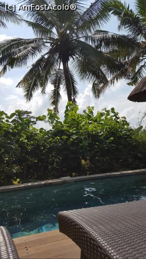 [P15] Temuku Villas - piscina » foto by r-Uca
 - 
<span class="allrVoted glyphicon glyphicon-heart hidden" id="av1055447"></span>
<a class="m-l-10 hidden" id="sv1055447" onclick="voting_Foto_DelVot(,1055447,24905)" role="button">șterge vot <span class="glyphicon glyphicon-remove"></span></a>
<a id="v91055447" class=" c-red"  onclick="voting_Foto_SetVot(1055447)" role="button"><span class="glyphicon glyphicon-heart-empty"></span> <b>LIKE</b> = Votează poza</a> <img class="hidden"  id="f1055447W9" src="/imagini/loader.gif" border="0" /><span class="AjErrMes hidden" id="e1055447ErM"></span>