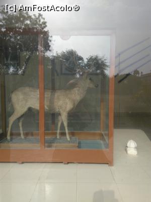 [P07]  -- <small>// FĂRĂ DESCRIERE</small> » foto by eklor
 - 
<span class="allrVoted glyphicon glyphicon-heart hidden" id="av1056173"></span>
<a class="m-l-10 hidden" id="sv1056173" onclick="voting_Foto_DelVot(,1056173,24917)" role="button">șterge vot <span class="glyphicon glyphicon-remove"></span></a>
<a id="v91056173" class=" c-red"  onclick="voting_Foto_SetVot(1056173)" role="button"><span class="glyphicon glyphicon-heart-empty"></span> <b>LIKE</b> = Votează poza</a> <img class="hidden"  id="f1056173W9" src="/imagini/loader.gif" border="0" /><span class="AjErrMes hidden" id="e1056173ErM"></span>