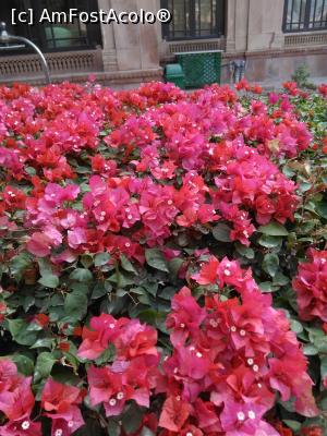 [P08]  -- <small>// FĂRĂ DESCRIERE</small> » foto by eklor
 - 
<span class="allrVoted glyphicon glyphicon-heart hidden" id="av1056175"></span>
<a class="m-l-10 hidden" id="sv1056175" onclick="voting_Foto_DelVot(,1056175,24917)" role="button">șterge vot <span class="glyphicon glyphicon-remove"></span></a>
<a id="v91056175" class=" c-red"  onclick="voting_Foto_SetVot(1056175)" role="button"><span class="glyphicon glyphicon-heart-empty"></span> <b>LIKE</b> = Votează poza</a> <img class="hidden"  id="f1056175W9" src="/imagini/loader.gif" border="0" /><span class="AjErrMes hidden" id="e1056175ErM"></span>