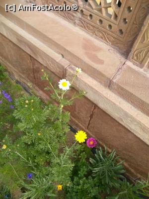 [P09]  -- <small>// FĂRĂ DESCRIERE</small> » foto by eklor
 - 
<span class="allrVoted glyphicon glyphicon-heart hidden" id="av1056176"></span>
<a class="m-l-10 hidden" id="sv1056176" onclick="voting_Foto_DelVot(,1056176,24917)" role="button">șterge vot <span class="glyphicon glyphicon-remove"></span></a>
<a id="v91056176" class=" c-red"  onclick="voting_Foto_SetVot(1056176)" role="button"><span class="glyphicon glyphicon-heart-empty"></span> <b>LIKE</b> = Votează poza</a> <img class="hidden"  id="f1056176W9" src="/imagini/loader.gif" border="0" /><span class="AjErrMes hidden" id="e1056176ErM"></span>