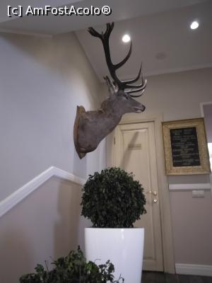 [P03] Bristol Hotel, St. Petersburg - la intrare în restaurant » foto by calator2000
 - 
<span class="allrVoted glyphicon glyphicon-heart hidden" id="av1056387"></span>
<a class="m-l-10 hidden" id="sv1056387" onclick="voting_Foto_DelVot(,1056387,24922)" role="button">șterge vot <span class="glyphicon glyphicon-remove"></span></a>
<a id="v91056387" class=" c-red"  onclick="voting_Foto_SetVot(1056387)" role="button"><span class="glyphicon glyphicon-heart-empty"></span> <b>LIKE</b> = Votează poza</a> <img class="hidden"  id="f1056387W9" src="/imagini/loader.gif" border="0" /><span class="AjErrMes hidden" id="e1056387ErM"></span>