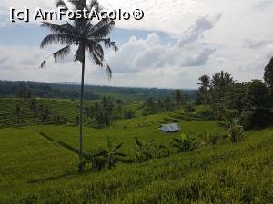 [P10] Jatiluwih Rice Terraces » foto by r-Uca
 - 
<span class="allrVoted glyphicon glyphicon-heart hidden" id="av1058076"></span>
<a class="m-l-10 hidden" id="sv1058076" onclick="voting_Foto_DelVot(,1058076,24939)" role="button">șterge vot <span class="glyphicon glyphicon-remove"></span></a>
<a id="v91058076" class=" c-red"  onclick="voting_Foto_SetVot(1058076)" role="button"><span class="glyphicon glyphicon-heart-empty"></span> <b>LIKE</b> = Votează poza</a> <img class="hidden"  id="f1058076W9" src="/imagini/loader.gif" border="0" /><span class="AjErrMes hidden" id="e1058076ErM"></span>