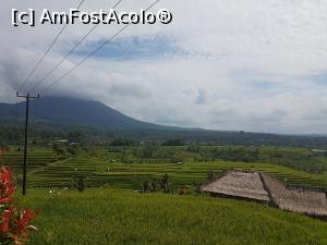 [P12] Jatiluwih Rice Terraces » foto by r-Uca
 - 
<span class="allrVoted glyphicon glyphicon-heart hidden" id="av1058078"></span>
<a class="m-l-10 hidden" id="sv1058078" onclick="voting_Foto_DelVot(,1058078,24939)" role="button">șterge vot <span class="glyphicon glyphicon-remove"></span></a>
<a id="v91058078" class=" c-red"  onclick="voting_Foto_SetVot(1058078)" role="button"><span class="glyphicon glyphicon-heart-empty"></span> <b>LIKE</b> = Votează poza</a> <img class="hidden"  id="f1058078W9" src="/imagini/loader.gif" border="0" /><span class="AjErrMes hidden" id="e1058078ErM"></span>