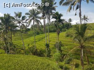 [P03] Jatiluwih Rice Terraces » foto by r-Uca
 - 
<span class="allrVoted glyphicon glyphicon-heart hidden" id="av1058069"></span>
<a class="m-l-10 hidden" id="sv1058069" onclick="voting_Foto_DelVot(,1058069,24939)" role="button">șterge vot <span class="glyphicon glyphicon-remove"></span></a>
<a id="v91058069" class=" c-red"  onclick="voting_Foto_SetVot(1058069)" role="button"><span class="glyphicon glyphicon-heart-empty"></span> <b>LIKE</b> = Votează poza</a> <img class="hidden"  id="f1058069W9" src="/imagini/loader.gif" border="0" /><span class="AjErrMes hidden" id="e1058069ErM"></span>