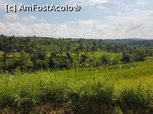 [P04] Jatiluwih Rice Terraces » foto by r-Uca
 - 
<span class="allrVoted glyphicon glyphicon-heart hidden" id="av1058070"></span>
<a class="m-l-10 hidden" id="sv1058070" onclick="voting_Foto_DelVot(,1058070,24939)" role="button">șterge vot <span class="glyphicon glyphicon-remove"></span></a>
<a id="v91058070" class=" c-red"  onclick="voting_Foto_SetVot(1058070)" role="button"><span class="glyphicon glyphicon-heart-empty"></span> <b>LIKE</b> = Votează poza</a> <img class="hidden"  id="f1058070W9" src="/imagini/loader.gif" border="0" /><span class="AjErrMes hidden" id="e1058070ErM"></span>