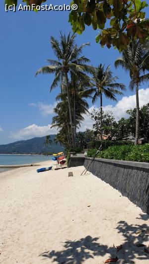 [P15] Plaja » foto by georgerizescu
 - 
<span class="allrVoted glyphicon glyphicon-heart hidden" id="av1059432"></span>
<a class="m-l-10 hidden" id="sv1059432" onclick="voting_Foto_DelVot(,1059432,24976)" role="button">șterge vot <span class="glyphicon glyphicon-remove"></span></a>
<a id="v91059432" class=" c-red"  onclick="voting_Foto_SetVot(1059432)" role="button"><span class="glyphicon glyphicon-heart-empty"></span> <b>LIKE</b> = Votează poza</a> <img class="hidden"  id="f1059432W9" src="/imagini/loader.gif" border="0" /><span class="AjErrMes hidden" id="e1059432ErM"></span>