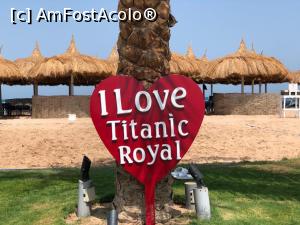 [P41] I love Titanic Royal! » foto by homeag_mihaela
 - 
<span class="allrVoted glyphicon glyphicon-heart hidden" id="av1191939"></span>
<a class="m-l-10 hidden" id="sv1191939" onclick="voting_Foto_DelVot(,1191939,25013)" role="button">șterge vot <span class="glyphicon glyphicon-remove"></span></a>
<a id="v91191939" class=" c-red"  onclick="voting_Foto_SetVot(1191939)" role="button"><span class="glyphicon glyphicon-heart-empty"></span> <b>LIKE</b> = Votează poza</a> <img class="hidden"  id="f1191939W9" src="/imagini/loader.gif" border="0" /><span class="AjErrMes hidden" id="e1191939ErM"></span>