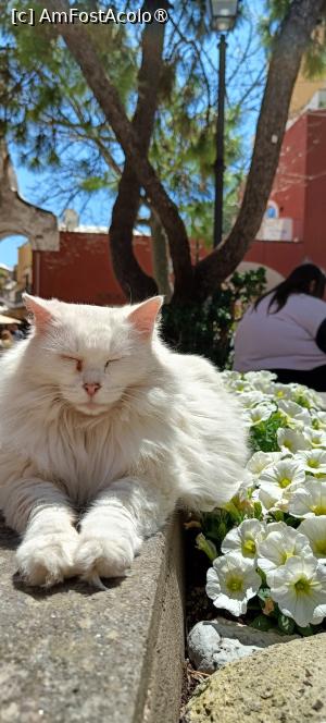 [P26] Un locuitor calm. » foto by tata123 🔱
 - 
<span class="allrVoted glyphicon glyphicon-heart hidden" id="av1529350"></span>
<a class="m-l-10 hidden" id="sv1529350" onclick="voting_Foto_DelVot(,1529350,25401)" role="button">șterge vot <span class="glyphicon glyphicon-remove"></span></a>
<a id="v91529350" class=" c-red"  onclick="voting_Foto_SetVot(1529350)" role="button"><span class="glyphicon glyphicon-heart-empty"></span> <b>LIKE</b> = Votează poza</a> <img class="hidden"  id="f1529350W9" src="/imagini/loader.gif" border="0" /><span class="AjErrMes hidden" id="e1529350ErM"></span>