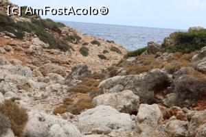 [P48] Creta, Peninsula Akrotiri, Cheile Avlaki, Marea Cretei spre Plaja Catolicilor » foto by mprofeanu
 - 
<span class="allrVoted glyphicon glyphicon-heart hidden" id="av1276346"></span>
<a class="m-l-10 hidden" id="sv1276346" onclick="voting_Foto_DelVot(,1276346,25424)" role="button">șterge vot <span class="glyphicon glyphicon-remove"></span></a>
<a id="v91276346" class=" c-red"  onclick="voting_Foto_SetVot(1276346)" role="button"><span class="glyphicon glyphicon-heart-empty"></span> <b>LIKE</b> = Votează poza</a> <img class="hidden"  id="f1276346W9" src="/imagini/loader.gif" border="0" /><span class="AjErrMes hidden" id="e1276346ErM"></span>