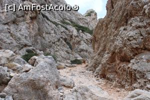 [P52] Creta, Peninsula Akrotiri, Cheile Avlaki, Întoarcerea de la Plaja Catolicilor » foto by mprofeanu
 - 
<span class="allrVoted glyphicon glyphicon-heart hidden" id="av1276350"></span>
<a class="m-l-10 hidden" id="sv1276350" onclick="voting_Foto_DelVot(,1276350,25424)" role="button">șterge vot <span class="glyphicon glyphicon-remove"></span></a>
<a id="v91276350" class=" c-red"  onclick="voting_Foto_SetVot(1276350)" role="button"><span class="glyphicon glyphicon-heart-empty"></span> <b>LIKE</b> = Votează poza</a> <img class="hidden"  id="f1276350W9" src="/imagini/loader.gif" border="0" /><span class="AjErrMes hidden" id="e1276350ErM"></span>