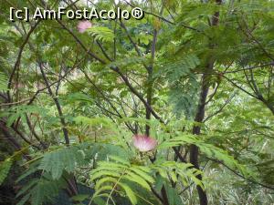 [P09] Calafat - Pensiunea " La Tase" . Terasa cu perdeaua de vegetație.  » foto by iulianic
 - 
<span class="allrVoted glyphicon glyphicon-heart hidden" id="av1090814"></span>
<a class="m-l-10 hidden" id="sv1090814" onclick="voting_Foto_DelVot(,1090814,25450)" role="button">șterge vot <span class="glyphicon glyphicon-remove"></span></a>
<a id="v91090814" class=" c-red"  onclick="voting_Foto_SetVot(1090814)" role="button"><span class="glyphicon glyphicon-heart-empty"></span> <b>LIKE</b> = Votează poza</a> <img class="hidden"  id="f1090814W9" src="/imagini/loader.gif" border="0" /><span class="AjErrMes hidden" id="e1090814ErM"></span>