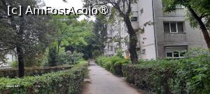 [P01] Timișoara, Blocul de pe strada București 14B unde era apartamentul » foto by mprofeanu
 - 
<span class="allrVoted glyphicon glyphicon-heart hidden" id="av1495416"></span>
<a class="m-l-10 hidden" id="sv1495416" onclick="voting_Foto_DelVot(,1495416,25464)" role="button">șterge vot <span class="glyphicon glyphicon-remove"></span></a>
<a id="v91495416" class=" c-red"  onclick="voting_Foto_SetVot(1495416)" role="button"><span class="glyphicon glyphicon-heart-empty"></span> <b>LIKE</b> = Votează poza</a> <img class="hidden"  id="f1495416W9" src="/imagini/loader.gif" border="0" /><span class="AjErrMes hidden" id="e1495416ErM"></span>