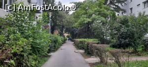 [P02] Timișoara, Aleea din fața blocului » foto by mprofeanu
 - 
<span class="allrVoted glyphicon glyphicon-heart hidden" id="av1495418"></span>
<a class="m-l-10 hidden" id="sv1495418" onclick="voting_Foto_DelVot(,1495418,25464)" role="button">șterge vot <span class="glyphicon glyphicon-remove"></span></a>
<a id="v91495418" class=" c-red"  onclick="voting_Foto_SetVot(1495418)" role="button"><span class="glyphicon glyphicon-heart-empty"></span> <b>LIKE</b> = Votează poza</a> <img class="hidden"  id="f1495418W9" src="/imagini/loader.gif" border="0" /><span class="AjErrMes hidden" id="e1495418ErM"></span>