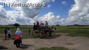 [P12] Ferma Santa Susana » foto by elenaadina
 - 
<span class="allrVoted glyphicon glyphicon-heart hidden" id="av1519369"></span>
<a class="m-l-10 hidden" id="sv1519369" onclick="voting_Foto_DelVot(,1519369,25466)" role="button">șterge vot <span class="glyphicon glyphicon-remove"></span></a>
<a id="v91519369" class=" c-red"  onclick="voting_Foto_SetVot(1519369)" role="button"><span class="glyphicon glyphicon-heart-empty"></span> <b>LIKE</b> = Votează poza</a> <img class="hidden"  id="f1519369W9" src="/imagini/loader.gif" border="0" /><span class="AjErrMes hidden" id="e1519369ErM"></span>