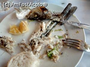 [P05] a fost peste cu salata de varza garniturarestaurant By Şükrü Balık-Buyukada » foto by ile57b
 - 
<span class="allrVoted glyphicon glyphicon-heart hidden" id="av1099043"></span>
<a class="m-l-10 hidden" id="sv1099043" onclick="voting_Foto_DelVot(,1099043,25582)" role="button">șterge vot <span class="glyphicon glyphicon-remove"></span></a>
<a id="v91099043" class=" c-red"  onclick="voting_Foto_SetVot(1099043)" role="button"><span class="glyphicon glyphicon-heart-empty"></span> <b>LIKE</b> = Votează poza</a> <img class="hidden"  id="f1099043W9" src="/imagini/loader.gif" border="0" /><span class="AjErrMes hidden" id="e1099043ErM"></span>