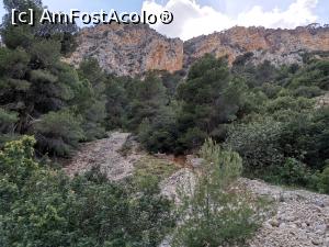 [P25] Pădurea Hoyo, Caminito del Rey.  » foto by Aurici
 - 
<span class="allrVoted glyphicon glyphicon-heart hidden" id="av1109875"></span>
<a class="m-l-10 hidden" id="sv1109875" onclick="voting_Foto_DelVot(,1109875,25725)" role="button">șterge vot <span class="glyphicon glyphicon-remove"></span></a>
<a id="v91109875" class=" c-red"  onclick="voting_Foto_SetVot(1109875)" role="button"><span class="glyphicon glyphicon-heart-empty"></span> <b>LIKE</b> = Votează poza</a> <img class="hidden"  id="f1109875W9" src="/imagini/loader.gif" border="0" /><span class="AjErrMes hidden" id="e1109875ErM"></span>