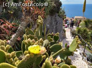 P09 [MAY-2019] Flori şi alei din Jardin Exotique d' Èze