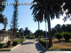 [P41] Parcul aflat peste stradă de primărie, Chios » foto by irinad
 - 
<span class="allrVoted glyphicon glyphicon-heart hidden" id="av1122772"></span>
<a class="m-l-10 hidden" id="sv1122772" onclick="voting_Foto_DelVot(,1122772,25741)" role="button">șterge vot <span class="glyphicon glyphicon-remove"></span></a>
<a id="v91122772" class=" c-red"  onclick="voting_Foto_SetVot(1122772)" role="button"><span class="glyphicon glyphicon-heart-empty"></span> <b>LIKE</b> = Votează poza</a> <img class="hidden"  id="f1122772W9" src="/imagini/loader.gif" border="0" /><span class="AjErrMes hidden" id="e1122772ErM"></span>
