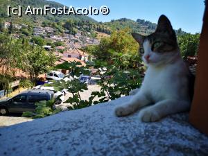 [P07] Ne alegem o masă cu vedere :)  » foto by crismis
 - 
<span class="allrVoted glyphicon glyphicon-heart hidden" id="av1115058"></span>
<a class="m-l-10 hidden" id="sv1115058" onclick="voting_Foto_DelVot(,1115058,25780)" role="button">șterge vot <span class="glyphicon glyphicon-remove"></span></a>
<a id="v91115058" class=" c-red"  onclick="voting_Foto_SetVot(1115058)" role="button"><span class="glyphicon glyphicon-heart-empty"></span> <b>LIKE</b> = Votează poza</a> <img class="hidden"  id="f1115058W9" src="/imagini/loader.gif" border="0" /><span class="AjErrMes hidden" id="e1115058ErM"></span>