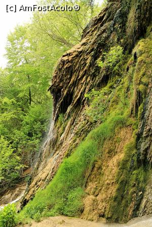 [P19] Geoagiu-Bai, Cascada Clocota, mai 2017 » foto by Dana2008
 - 
<span class="allrVoted glyphicon glyphicon-heart hidden" id="av864899"></span>
<a class="m-l-10 hidden" id="sv864899" onclick="voting_Foto_DelVot(,864899,25800)" role="button">șterge vot <span class="glyphicon glyphicon-remove"></span></a>
<a id="v9864899" class=" c-red"  onclick="voting_Foto_SetVot(864899)" role="button"><span class="glyphicon glyphicon-heart-empty"></span> <b>LIKE</b> = Votează poza</a> <img class="hidden"  id="f864899W9" src="/imagini/loader.gif" border="0" /><span class="AjErrMes hidden" id="e864899ErM"></span>