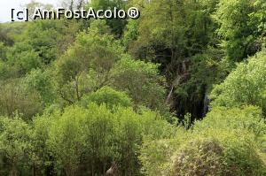 [P24] Geoagiu-Bai, Cascada Clocota, mai 2017
se zareste cascada » foto by Dana2008
 - 
<span class="allrVoted glyphicon glyphicon-heart hidden" id="av864904"></span>
<a class="m-l-10 hidden" id="sv864904" onclick="voting_Foto_DelVot(,864904,25800)" role="button">șterge vot <span class="glyphicon glyphicon-remove"></span></a>
<a id="v9864904" class=" c-red"  onclick="voting_Foto_SetVot(864904)" role="button"><span class="glyphicon glyphicon-heart-empty"></span> <b>LIKE</b> = Votează poza</a> <img class="hidden"  id="f864904W9" src="/imagini/loader.gif" border="0" /><span class="AjErrMes hidden" id="e864904ErM"></span>