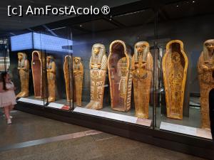 [P40] Giza, Marele Muzeu Egiptean » foto by mprofeanu
 - 
<span class="allrVoted glyphicon glyphicon-heart hidden" id="av1519300"></span>
<a class="m-l-10 hidden" id="sv1519300" onclick="voting_Foto_DelVot(,1519300,25858)" role="button">șterge vot <span class="glyphicon glyphicon-remove"></span></a>
<a id="v91519300" class=" c-red"  onclick="voting_Foto_SetVot(1519300)" role="button"><span class="glyphicon glyphicon-heart-empty"></span> <b>LIKE</b> = Votează poza</a> <img class="hidden"  id="f1519300W9" src="/imagini/loader.gif" border="0" /><span class="AjErrMes hidden" id="e1519300ErM"></span>