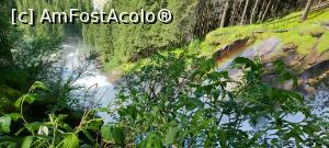 [P31] 31. Este spectaculoasă, nu? » foto by msnd
 - 
<span class="allrVoted glyphicon glyphicon-heart hidden" id="av1238284"></span>
<a class="m-l-10 hidden" id="sv1238284" onclick="voting_Foto_DelVot(,1238284,25866)" role="button">șterge vot <span class="glyphicon glyphicon-remove"></span></a>
<a id="v91238284" class=" c-red"  onclick="voting_Foto_SetVot(1238284)" role="button"><span class="glyphicon glyphicon-heart-empty"></span> <b>LIKE</b> = Votează poza</a> <img class="hidden"  id="f1238284W9" src="/imagini/loader.gif" border="0" /><span class="AjErrMes hidden" id="e1238284ErM"></span>