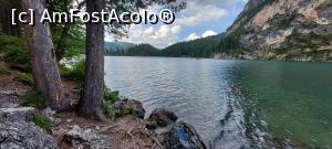 [P38] 38. Avem timp să ne plimbăm puțin pe l&acirc;ngă el. » foto by msnd
 - 
<span class="allrVoted glyphicon glyphicon-heart hidden" id="av1238291"></span>
<a class="m-l-10 hidden" id="sv1238291" onclick="voting_Foto_DelVot(,1238291,25866)" role="button">șterge vot <span class="glyphicon glyphicon-remove"></span></a>
<a id="v91238291" class=" c-red"  onclick="voting_Foto_SetVot(1238291)" role="button"><span class="glyphicon glyphicon-heart-empty"></span> <b>LIKE</b> = Votează poza</a> <img class="hidden"  id="f1238291W9" src="/imagini/loader.gif" border="0" /><span class="AjErrMes hidden" id="e1238291ErM"></span>