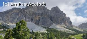 [P40] 40. De la Passo di Falzarego, urcăm acolo sus, cu telecabina. » foto by msnd
 - 
<span class="allrVoted glyphicon glyphicon-heart hidden" id="av1238293"></span>
<a class="m-l-10 hidden" id="sv1238293" onclick="voting_Foto_DelVot(,1238293,25866)" role="button">șterge vot <span class="glyphicon glyphicon-remove"></span></a>
<a id="v91238293" class=" c-red"  onclick="voting_Foto_SetVot(1238293)" role="button"><span class="glyphicon glyphicon-heart-empty"></span> <b>LIKE</b> = Votează poza</a> <img class="hidden"  id="f1238293W9" src="/imagini/loader.gif" border="0" /><span class="AjErrMes hidden" id="e1238293ErM"></span>