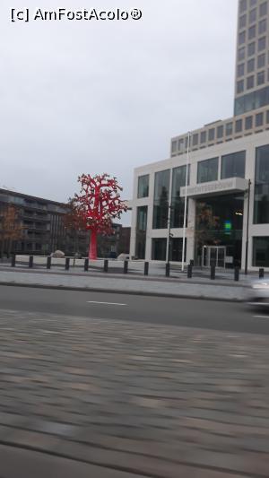 [P01] la intrarea in Breda » foto by adrianbogdan
 - 
<span class="allrVoted glyphicon glyphicon-heart hidden" id="av1123239"></span>
<a class="m-l-10 hidden" id="sv1123239" onclick="voting_Foto_DelVot(,1123239,25886)" role="button">șterge vot <span class="glyphicon glyphicon-remove"></span></a>
<a id="v91123239" class=" c-red"  onclick="voting_Foto_SetVot(1123239)" role="button"><span class="glyphicon glyphicon-heart-empty"></span> <b>LIKE</b> = Votează poza</a> <img class="hidden"  id="f1123239W9" src="/imagini/loader.gif" border="0" /><span class="AjErrMes hidden" id="e1123239ErM"></span>