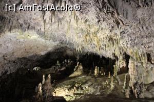 [P28] Peștera Snejanka, Sala Mare, mulțime de stalactite și stalagmite, poză mărită » foto by mprofeanu
 - 
<span class="allrVoted glyphicon glyphicon-heart hidden" id="av1255213"></span>
<a class="m-l-10 hidden" id="sv1255213" onclick="voting_Foto_DelVot(,1255213,25928)" role="button">șterge vot <span class="glyphicon glyphicon-remove"></span></a>
<a id="v91255213" class=" c-red"  onclick="voting_Foto_SetVot(1255213)" role="button"><span class="glyphicon glyphicon-heart-empty"></span> <b>LIKE</b> = Votează poza</a> <img class="hidden"  id="f1255213W9" src="/imagini/loader.gif" border="0" /><span class="AjErrMes hidden" id="e1255213ErM"></span>