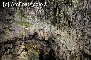 [P38] Peștera Snejanka, Sala Magică, Oare câte ‎stalactite sunt pe un metru pătrat... » foto by mprofeanu
 - 
<span class="allrVoted glyphicon glyphicon-heart hidden" id="av1255223"></span>
<a class="m-l-10 hidden" id="sv1255223" onclick="voting_Foto_DelVot(,1255223,25928)" role="button">șterge vot <span class="glyphicon glyphicon-remove"></span></a>
<a id="v91255223" class=" c-red"  onclick="voting_Foto_SetVot(1255223)" role="button"><span class="glyphicon glyphicon-heart-empty"></span> <b>LIKE</b> = Votează poza</a> <img class="hidden"  id="f1255223W9" src="/imagini/loader.gif" border="0" /><span class="AjErrMes hidden" id="e1255223ErM"></span>