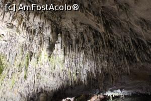 [P41] Peștera Snejanka, Junglă de  ‎stalactite în Sala Mare » foto by mprofeanu
 - 
<span class="allrVoted glyphicon glyphicon-heart hidden" id="av1255226"></span>
<a class="m-l-10 hidden" id="sv1255226" onclick="voting_Foto_DelVot(,1255226,25928)" role="button">șterge vot <span class="glyphicon glyphicon-remove"></span></a>
<a id="v91255226" class=" c-red"  onclick="voting_Foto_SetVot(1255226)" role="button"><span class="glyphicon glyphicon-heart-empty"></span> <b>LIKE</b> = Votează poza</a> <img class="hidden"  id="f1255226W9" src="/imagini/loader.gif" border="0" /><span class="AjErrMes hidden" id="e1255226ErM"></span>