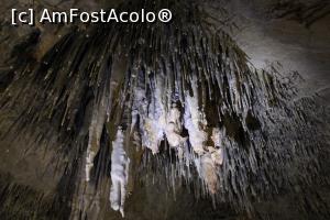 [P43] Peștera Snejanka, Junglă de  ‎stalactite în Sala Mare, poză mărită la maxim » foto by mprofeanu
 - 
<span class="allrVoted glyphicon glyphicon-heart hidden" id="av1255228"></span>
<a class="m-l-10 hidden" id="sv1255228" onclick="voting_Foto_DelVot(,1255228,25928)" role="button">șterge vot <span class="glyphicon glyphicon-remove"></span></a>
<a id="v91255228" class=" c-red"  onclick="voting_Foto_SetVot(1255228)" role="button"><span class="glyphicon glyphicon-heart-empty"></span> <b>LIKE</b> = Votează poza</a> <img class="hidden"  id="f1255228W9" src="/imagini/loader.gif" border="0" /><span class="AjErrMes hidden" id="e1255228ErM"></span>