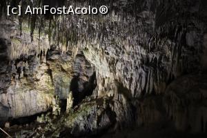 [P44] Peștera Snejanka, Junglă de  ‎stalactite în Sala Mare » foto by mprofeanu
 - 
<span class="allrVoted glyphicon glyphicon-heart hidden" id="av1255229"></span>
<a class="m-l-10 hidden" id="sv1255229" onclick="voting_Foto_DelVot(,1255229,25928)" role="button">șterge vot <span class="glyphicon glyphicon-remove"></span></a>
<a id="v91255229" class=" c-red"  onclick="voting_Foto_SetVot(1255229)" role="button"><span class="glyphicon glyphicon-heart-empty"></span> <b>LIKE</b> = Votează poza</a> <img class="hidden"  id="f1255229W9" src="/imagini/loader.gif" border="0" /><span class="AjErrMes hidden" id="e1255229ErM"></span>